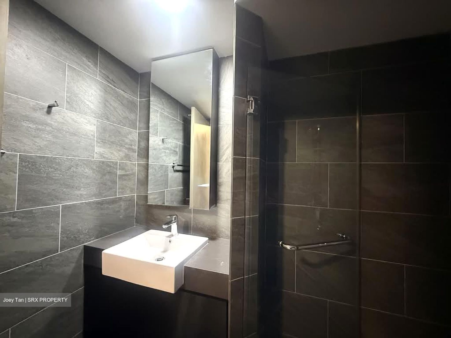Affinity At Serangoon (D19), Apartment #575137191
